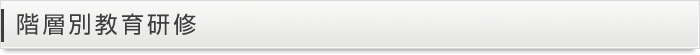 階層別教育研修