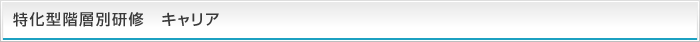 特化型階層別研修 キャリア